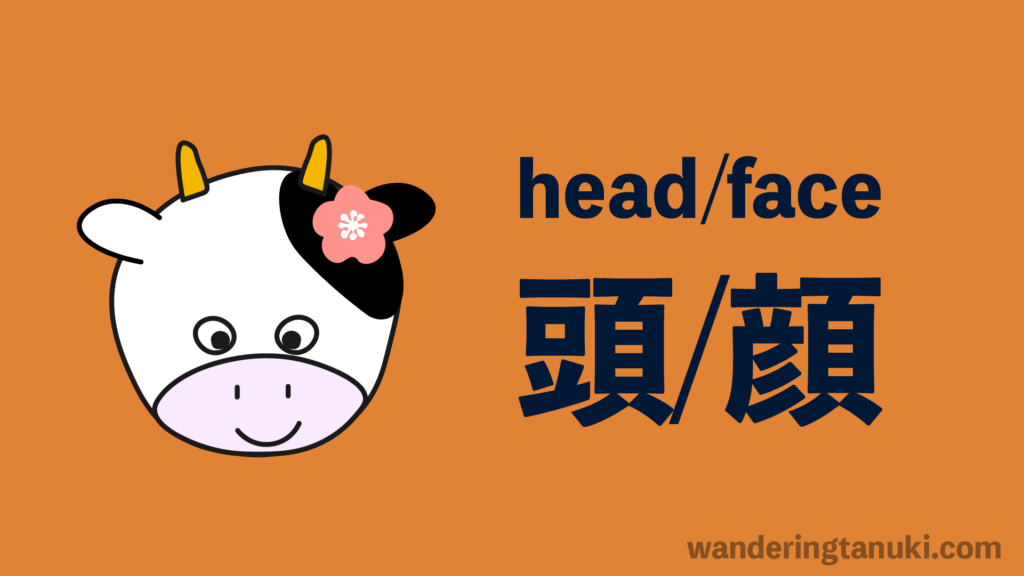 head and face in japanese
