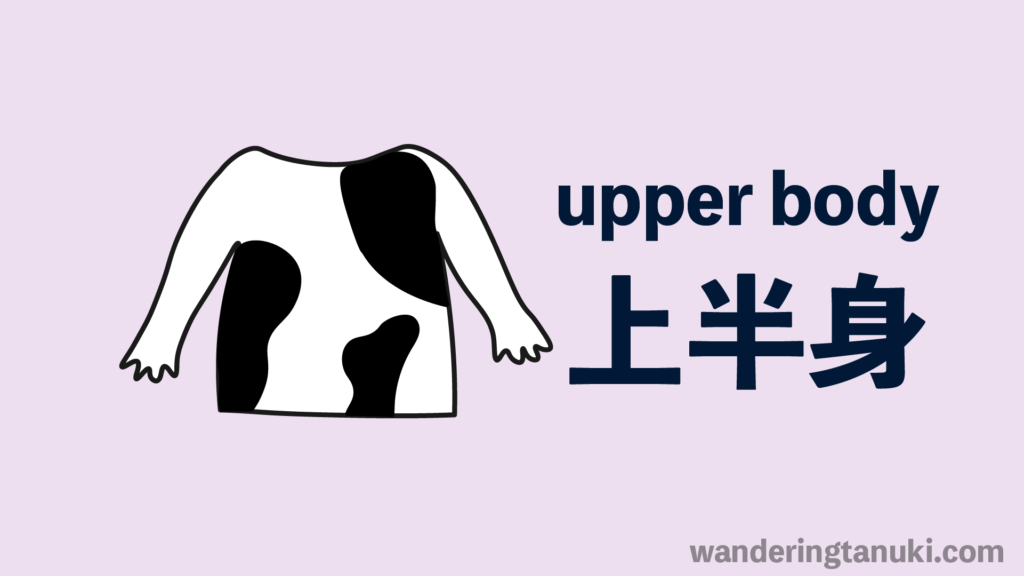 upper body parts in japanese